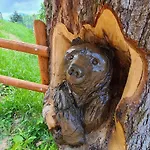 Duhovy Pstruh Bystrá