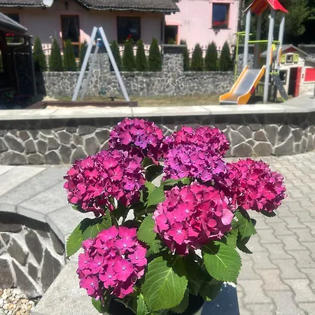 Duhovy Pstruh Affittacamere Bystrá